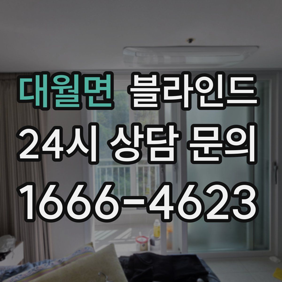 대월면 블라인드