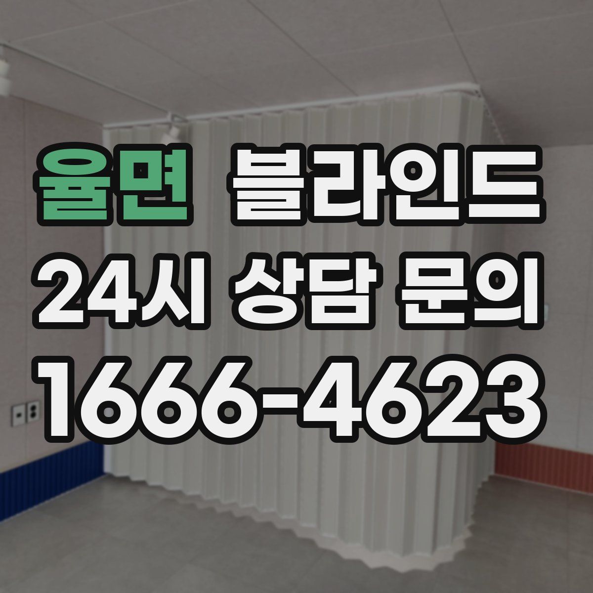 율면 블라인드