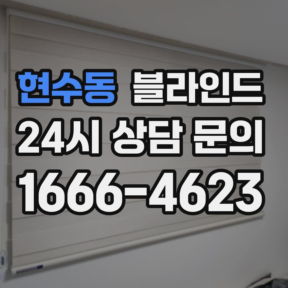 현수동 블라인드