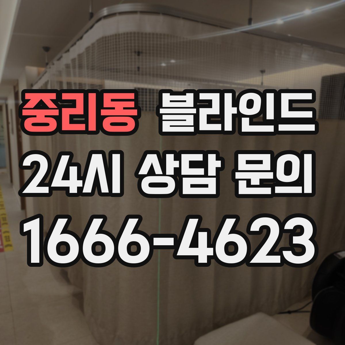 중리동 블라인드