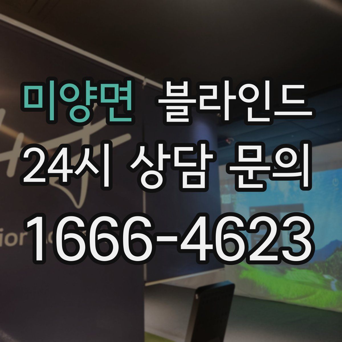 미양면 블라인드