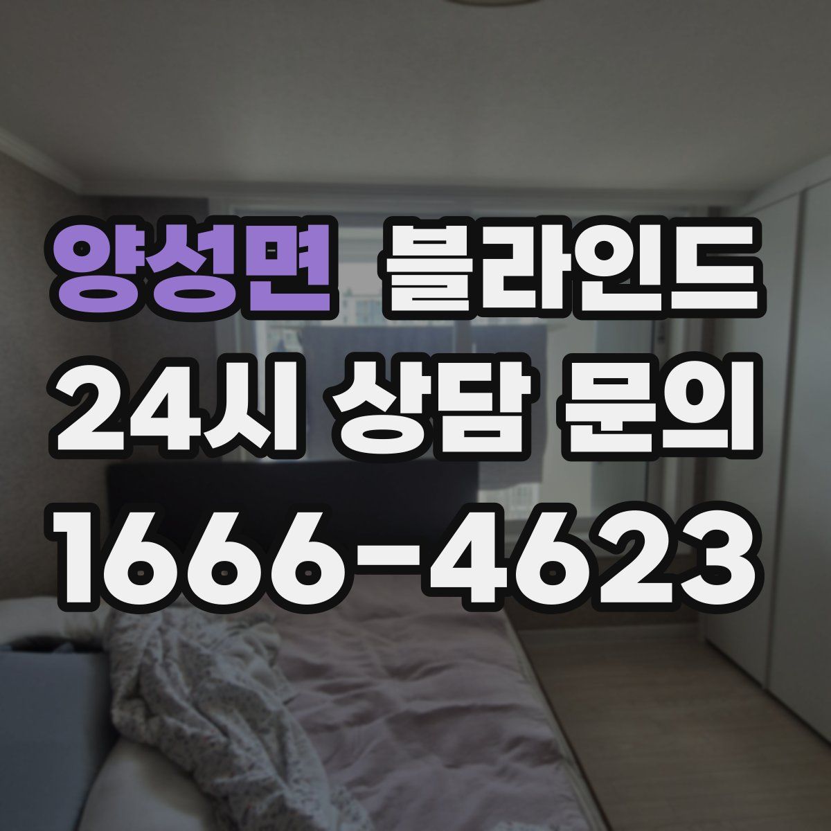 양성면 블라인드