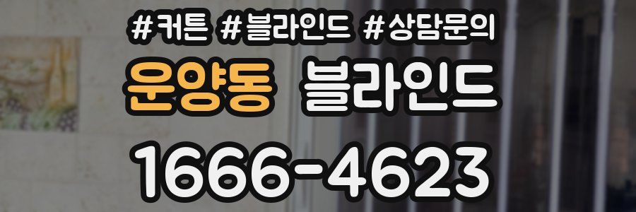 운양동 블라인드