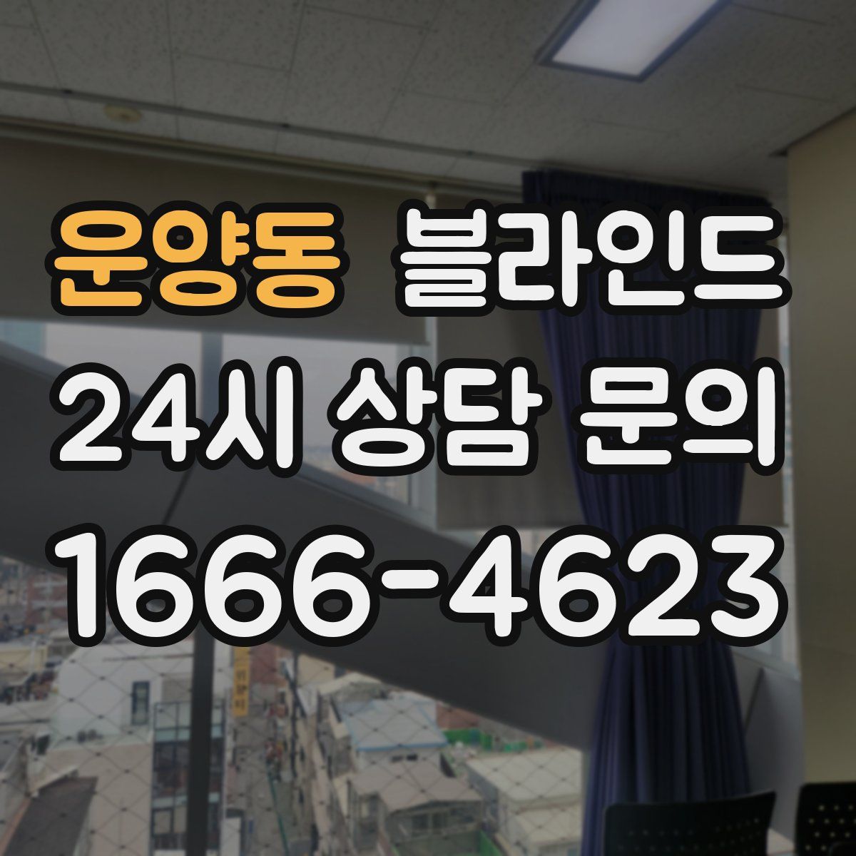 운양동 블라인드