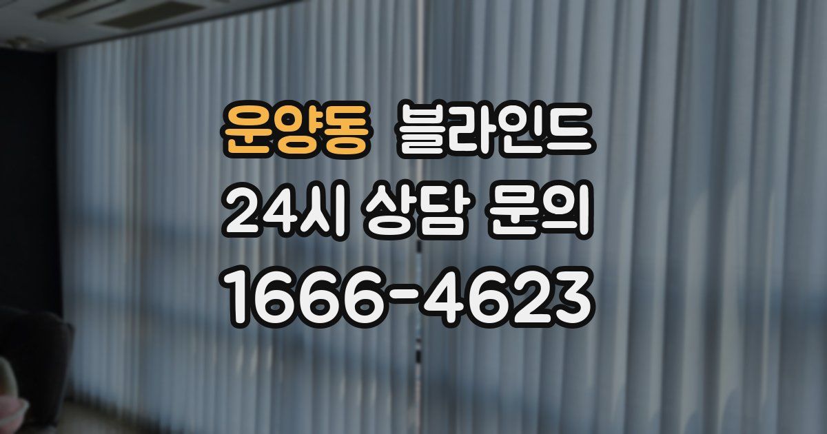 운양동 블라인드