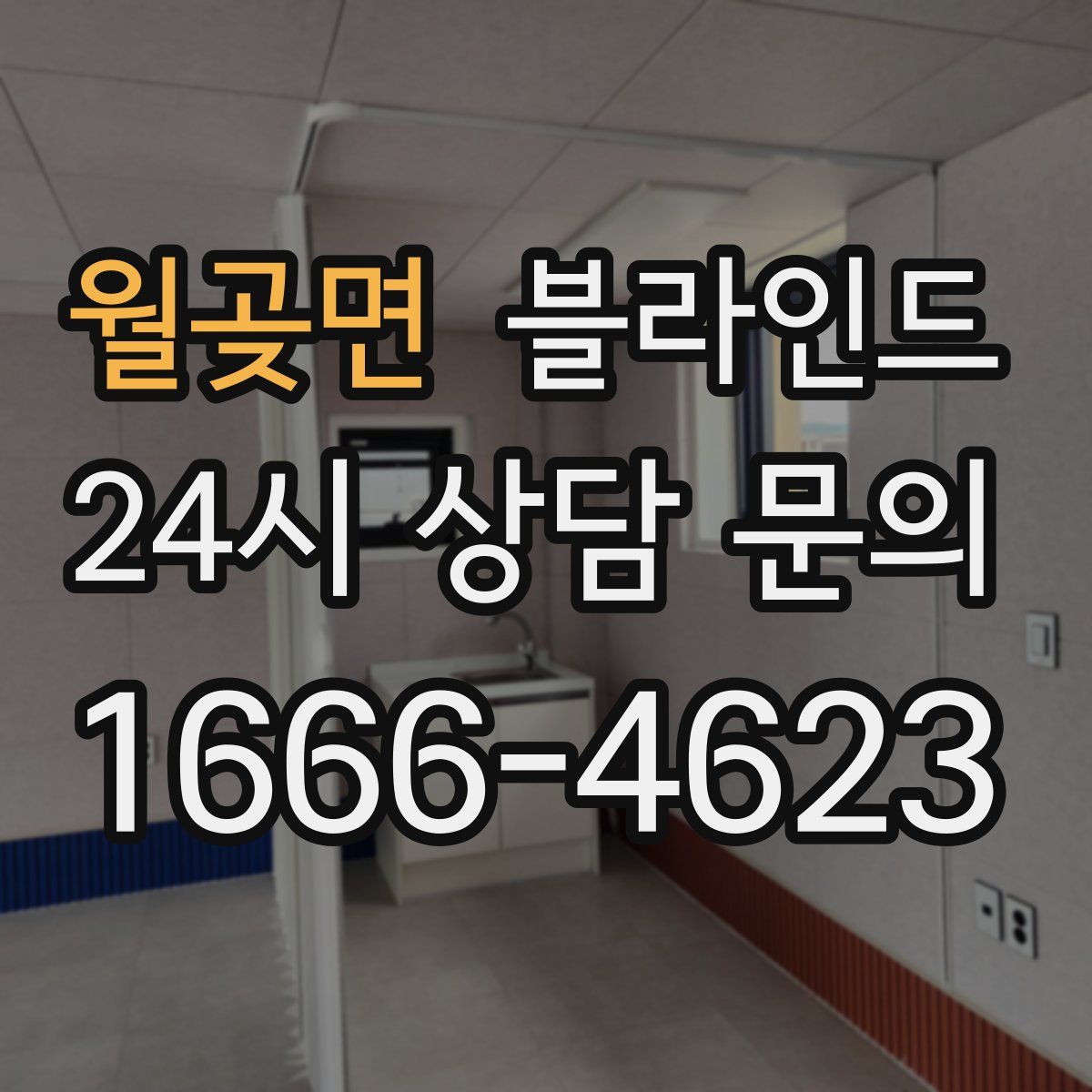 월곶면 블라인드