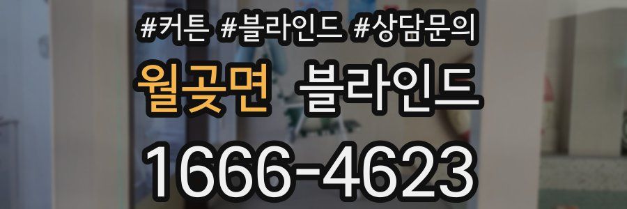 월곶면 블라인드