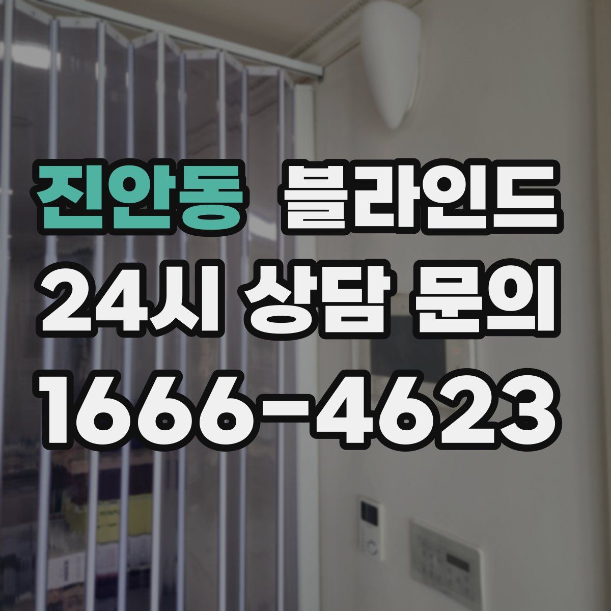 진안동 블라인드