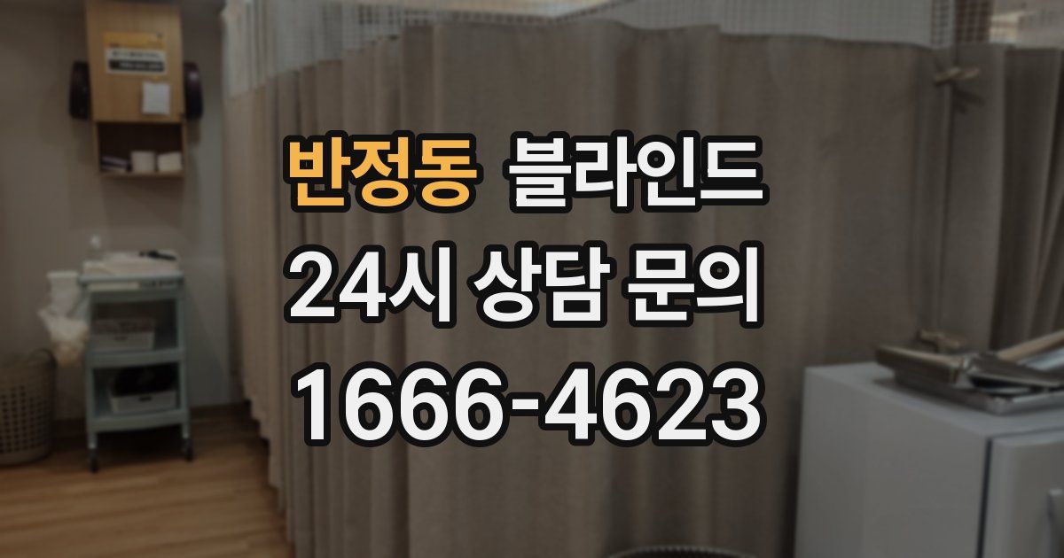 반정동 블라인드