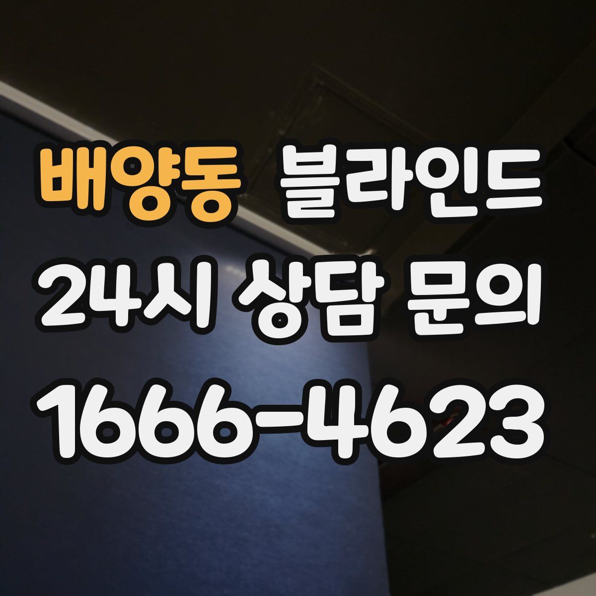 배양동 블라인드