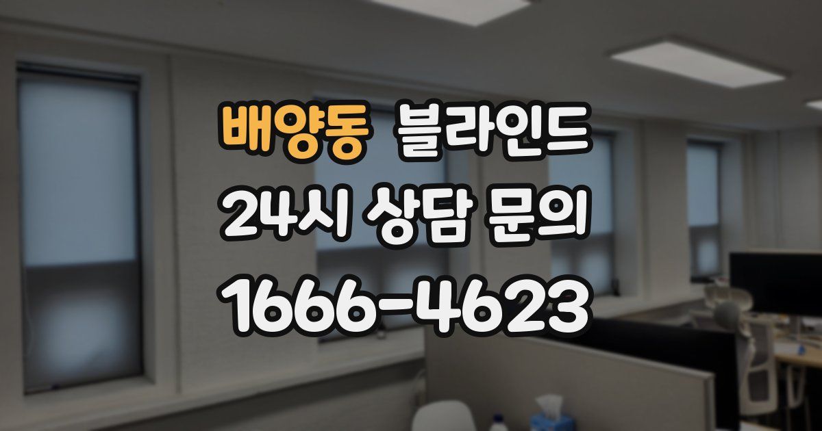 배양동 블라인드