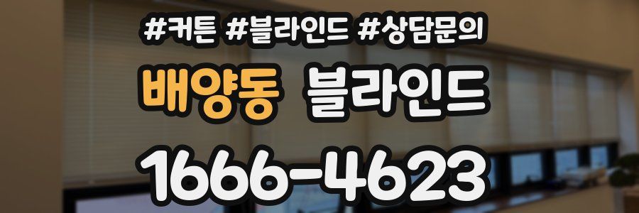 배양동 블라인드