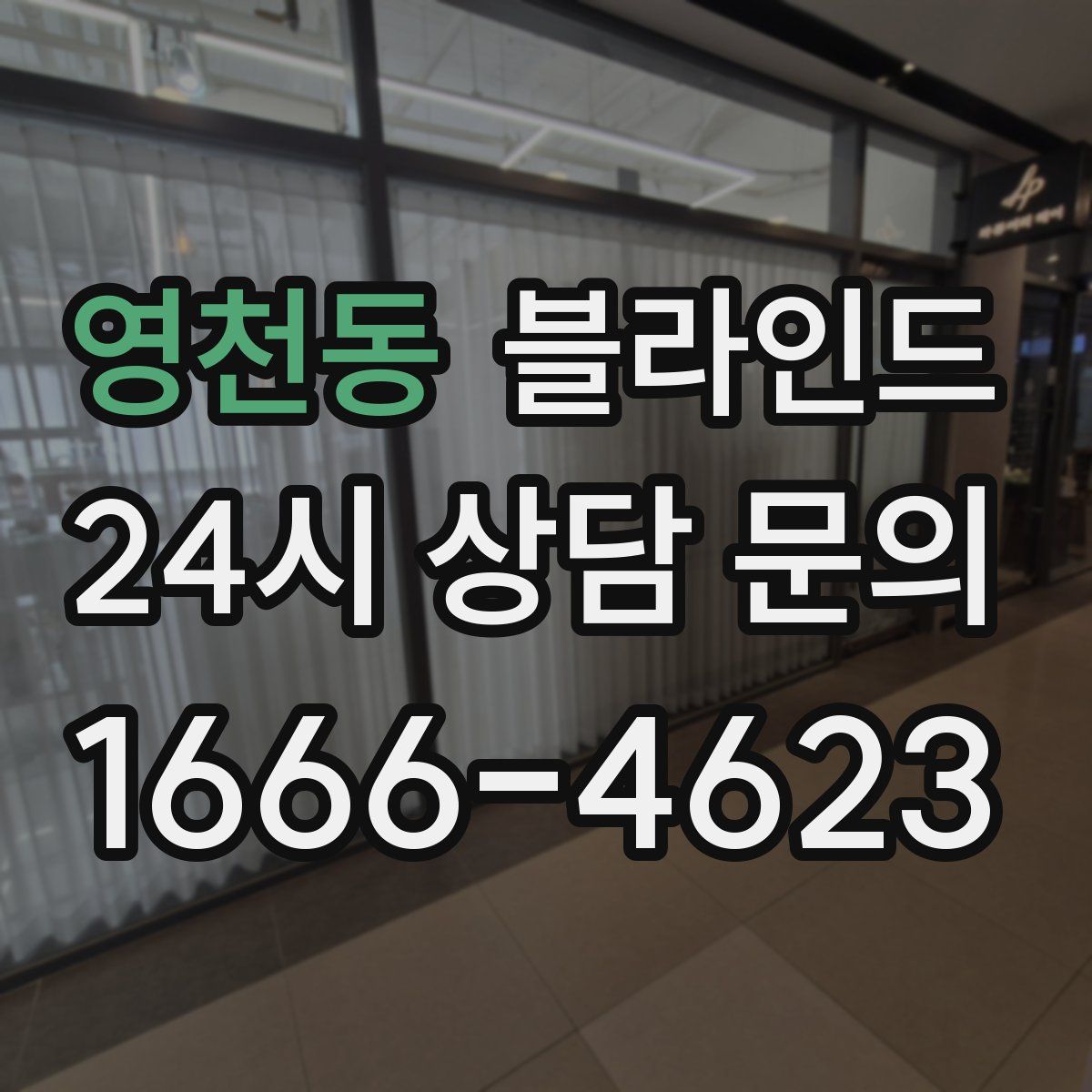 영천동 블라인드