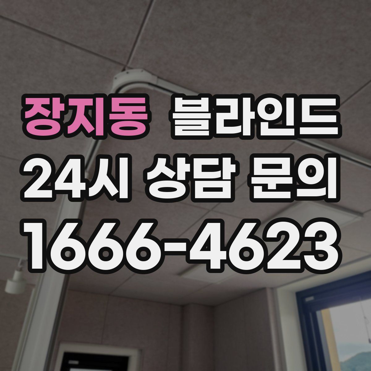 장지동 블라인드