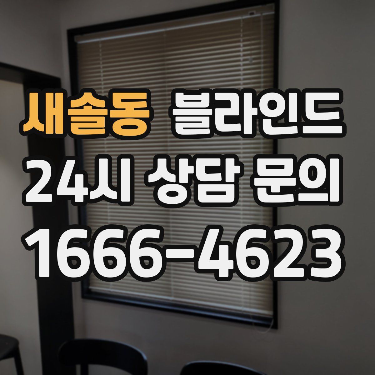 새솔동 블라인드