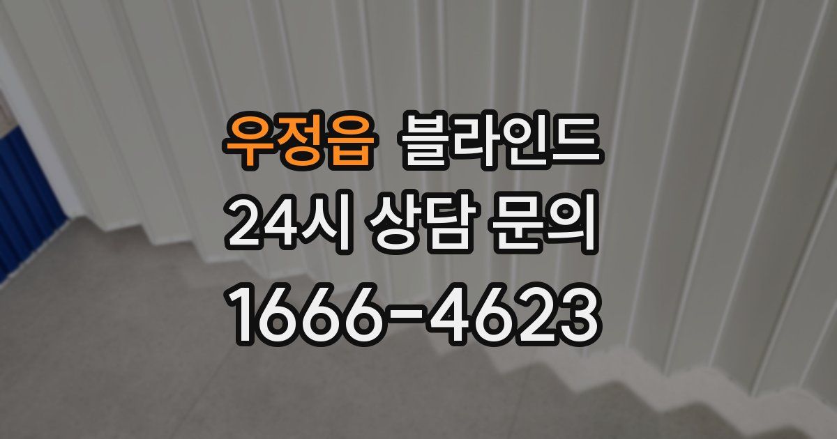 우정읍 블라인드