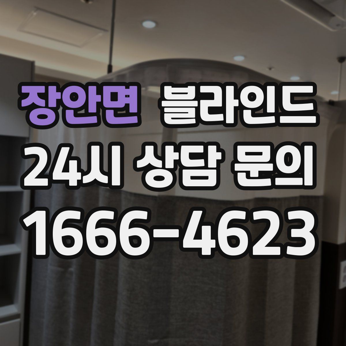 장안면 블라인드