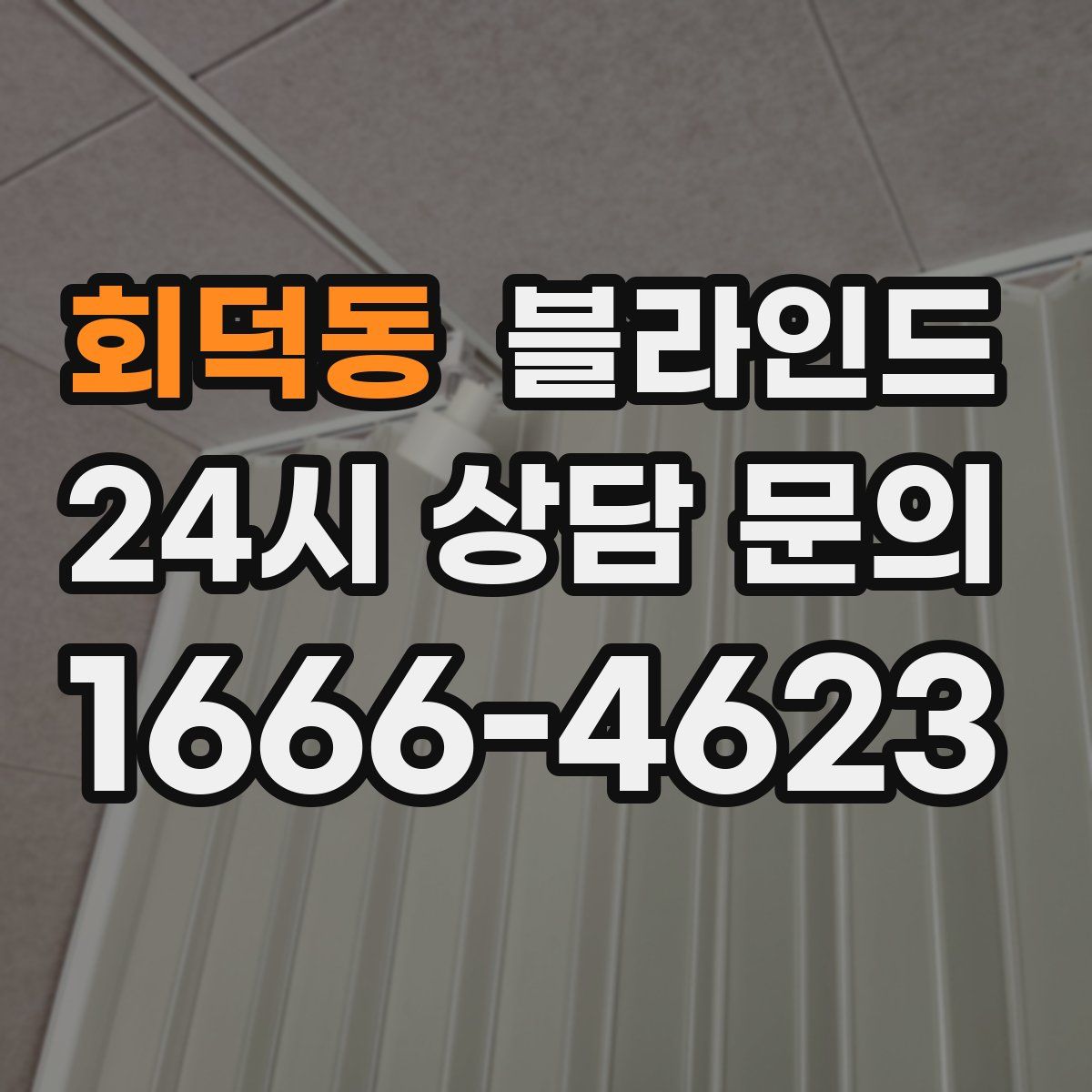 회덕동 블라인드