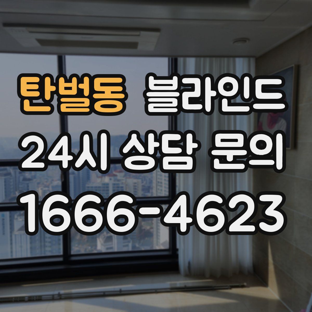 탄벌동 블라인드