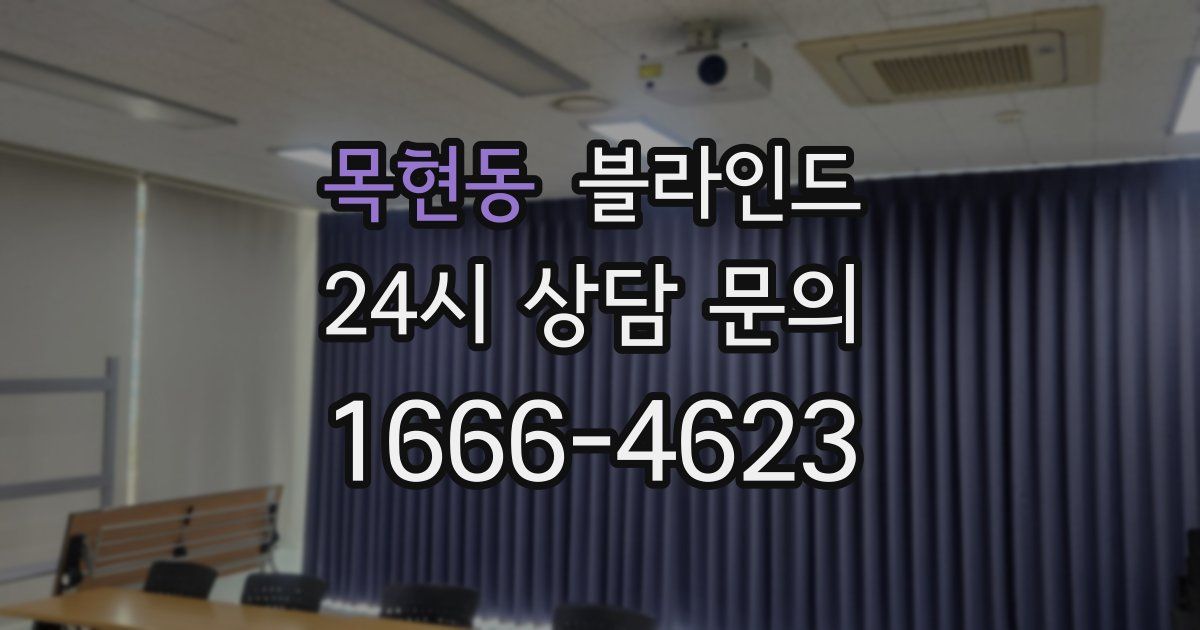 목현동 블라인드