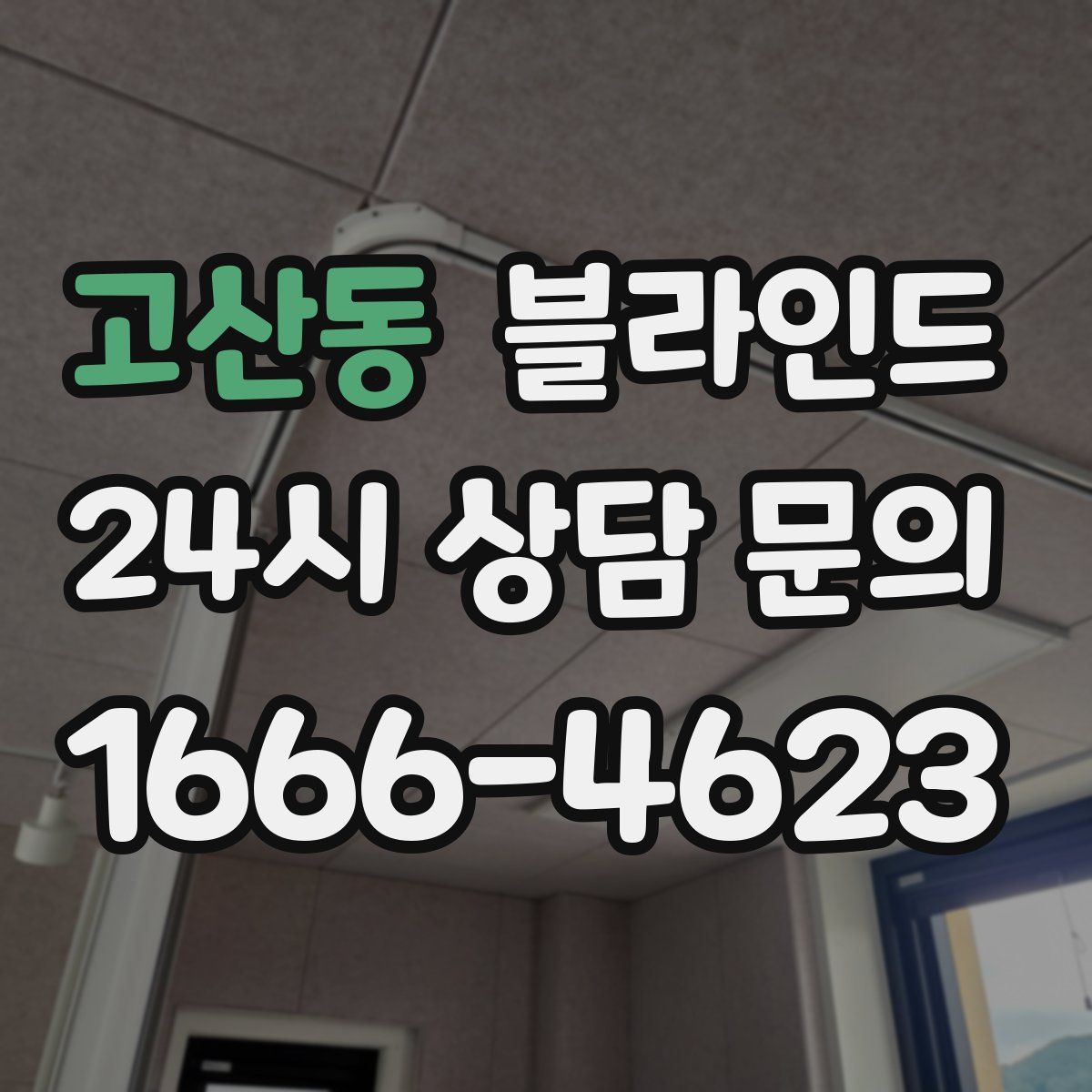 고산동 블라인드