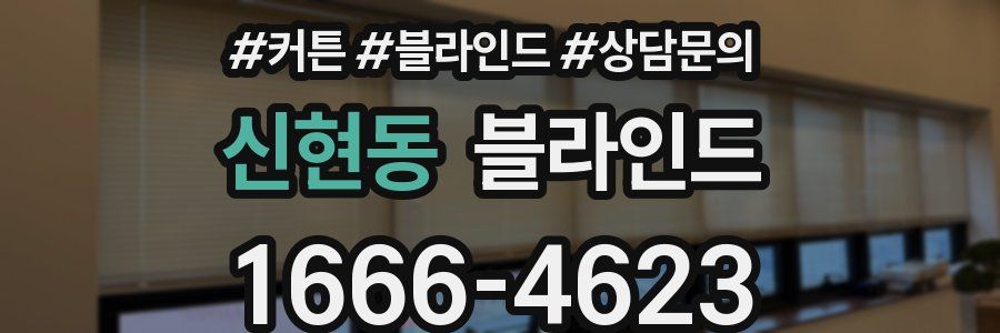 신현동 블라인드