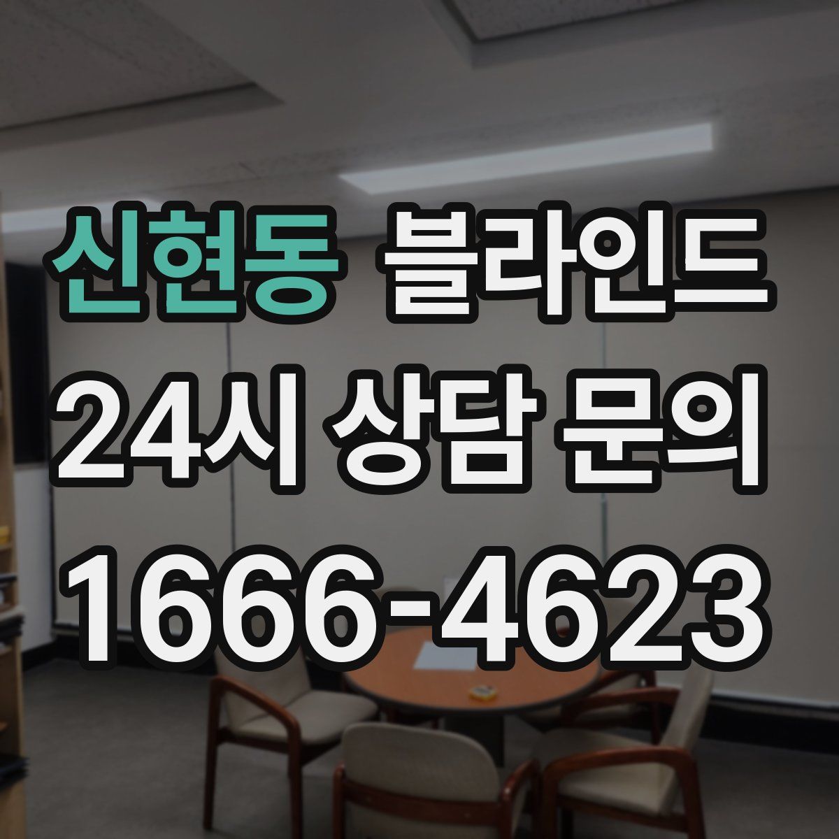 신현동 블라인드