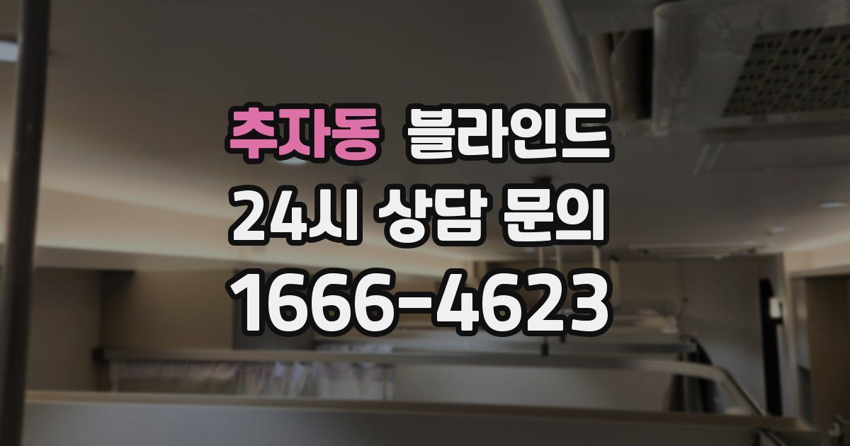 추자동 블라인드