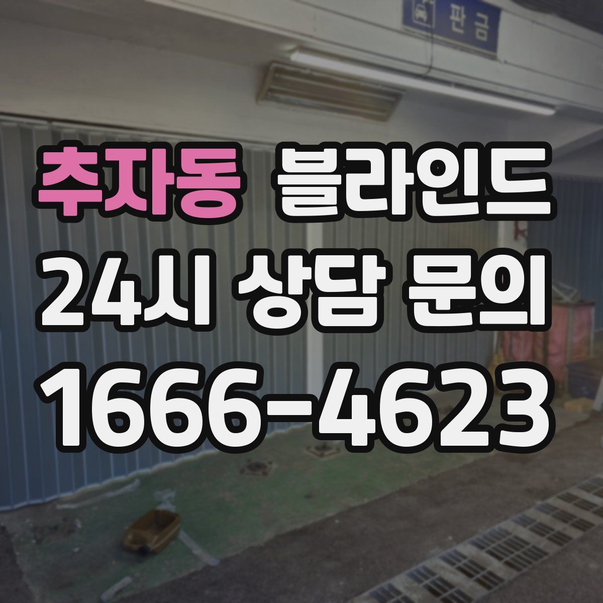 추자동 블라인드