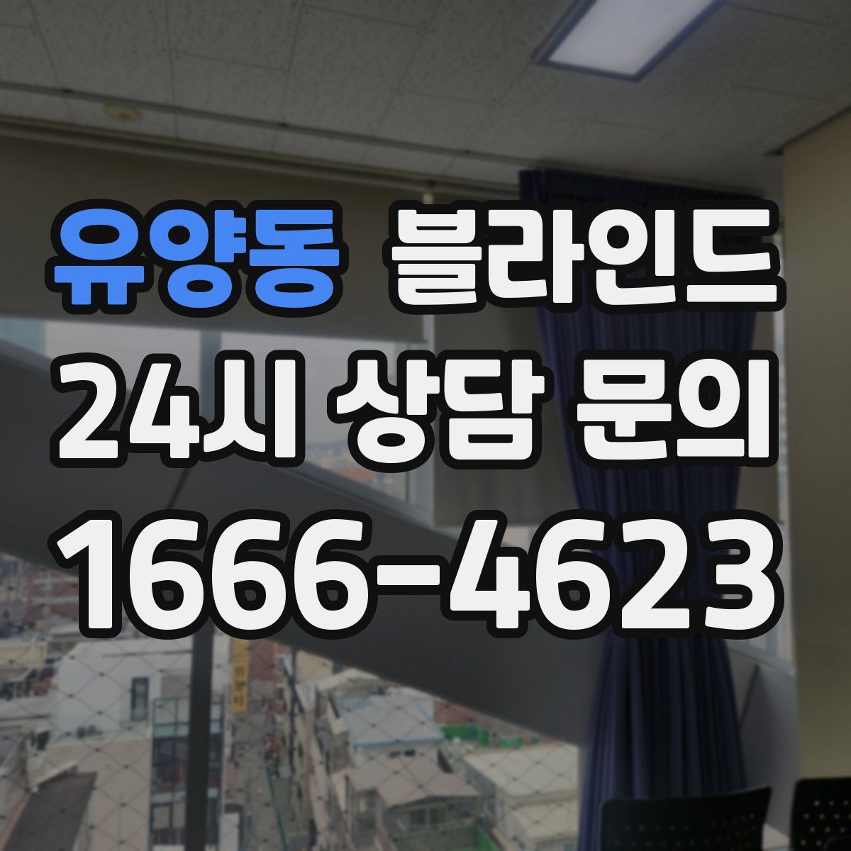 유양동 블라인드