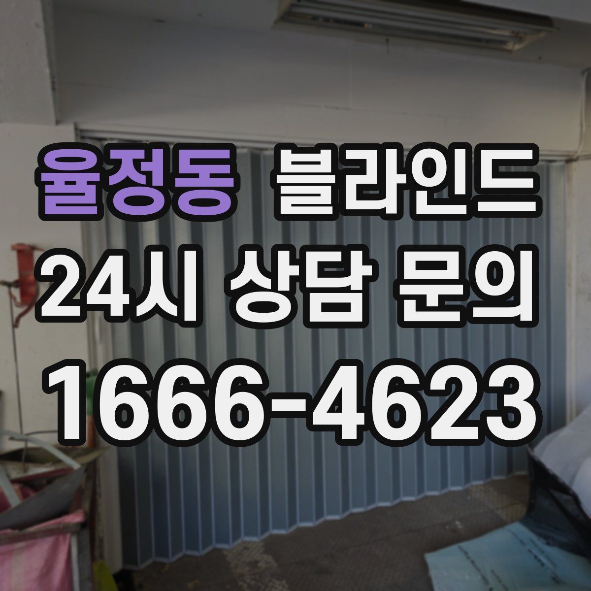 율정동 블라인드