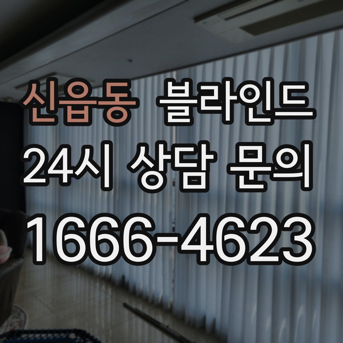 신읍동 블라인드