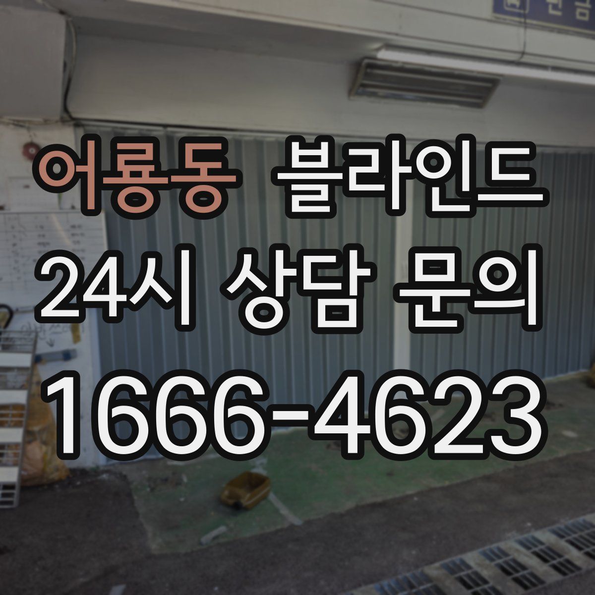 어룡동 블라인드