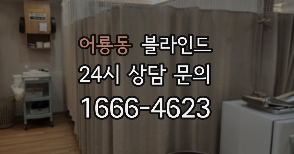 어룡동 블라인드