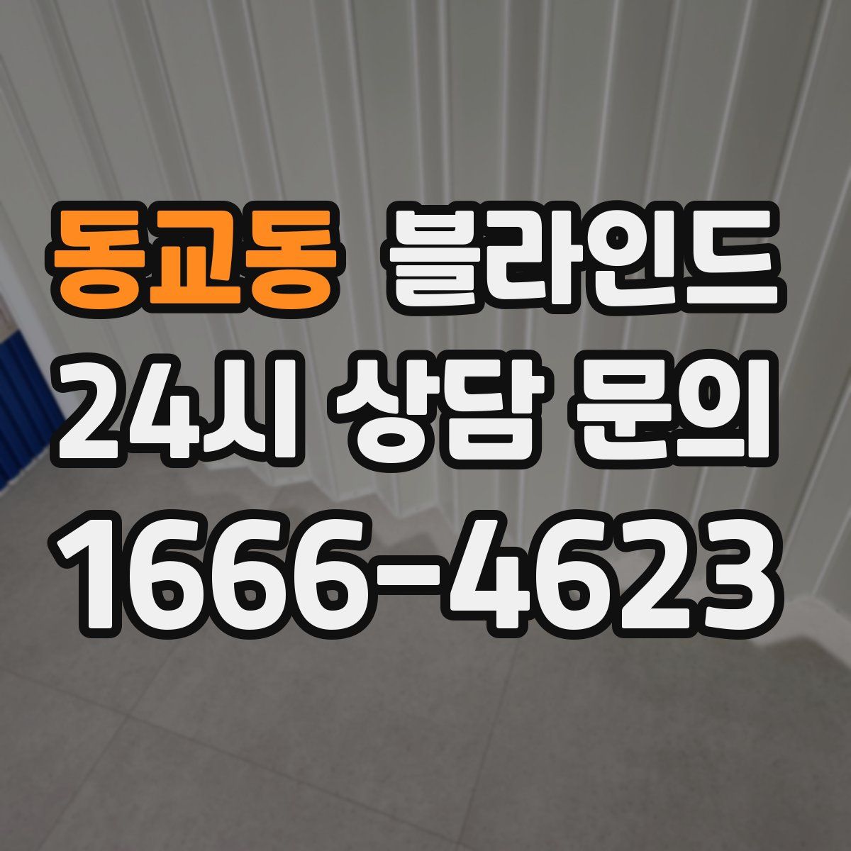 동교동 블라인드