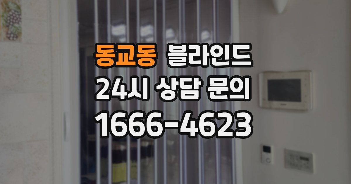동교동 블라인드
