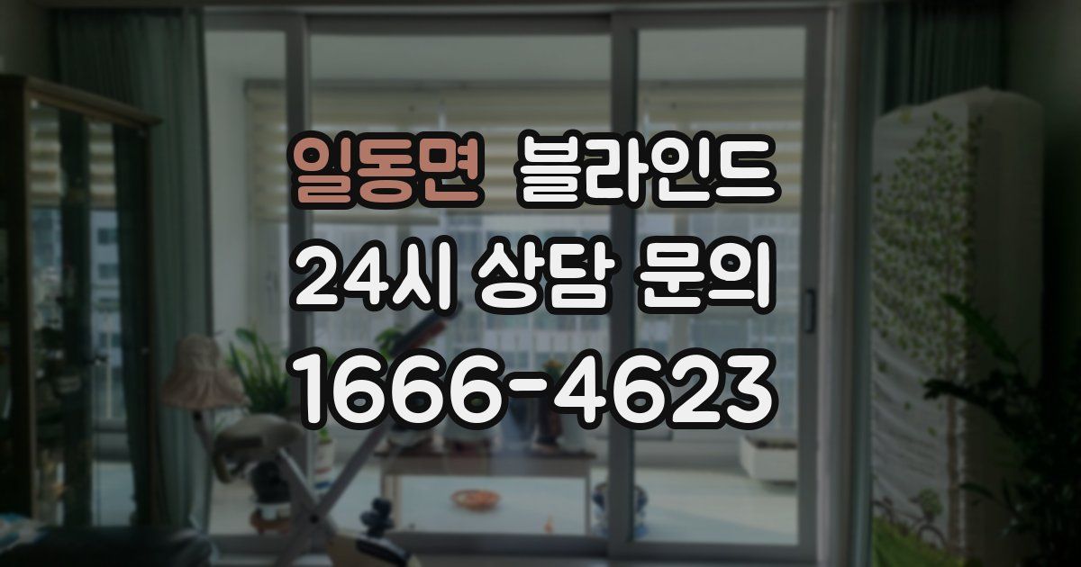 일동면 블라인드