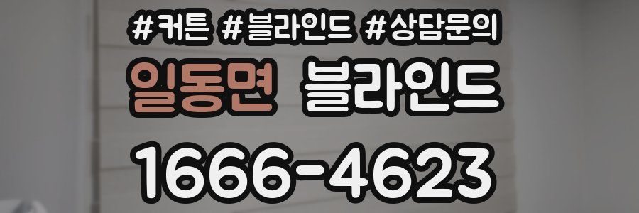 일동면 블라인드