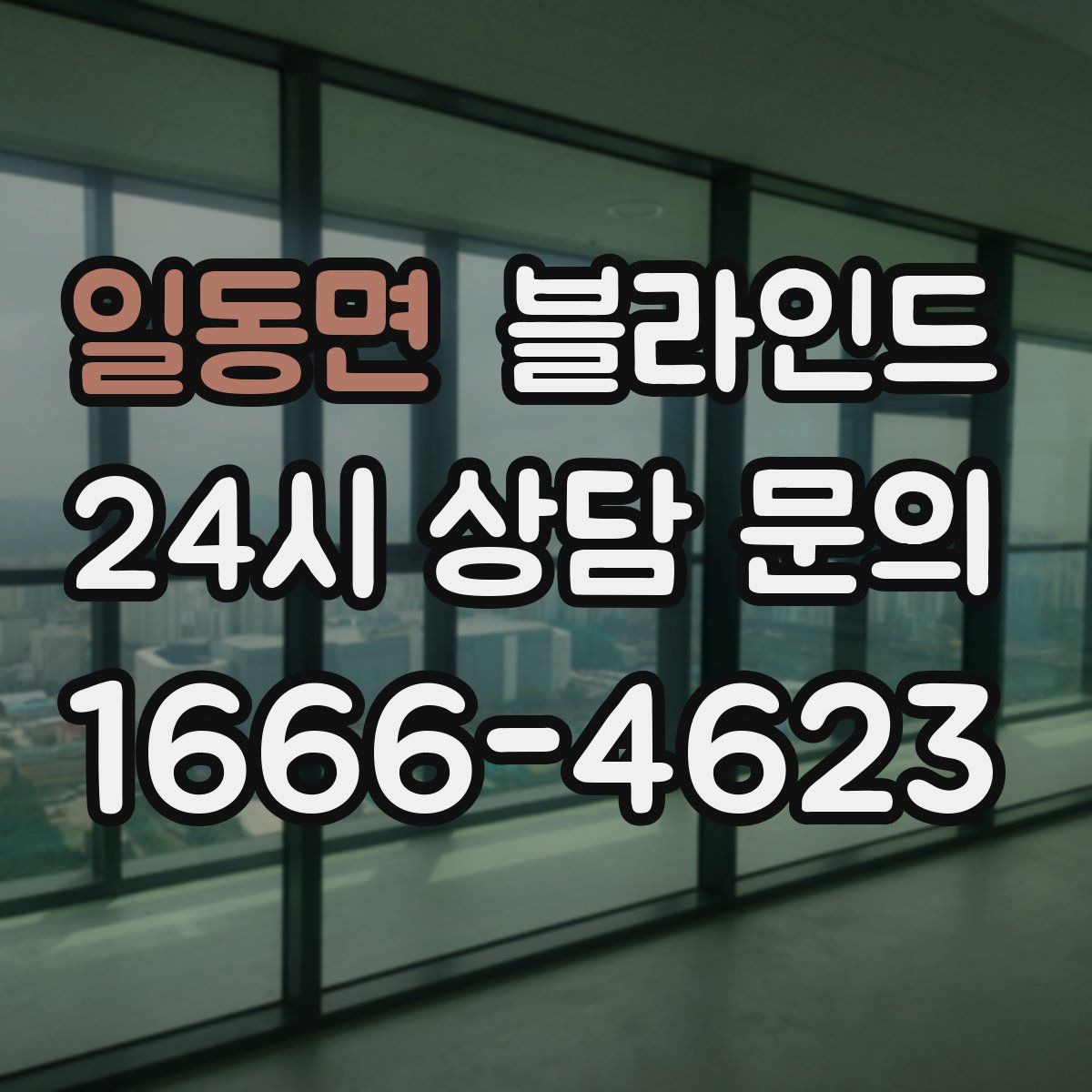 일동면 블라인드