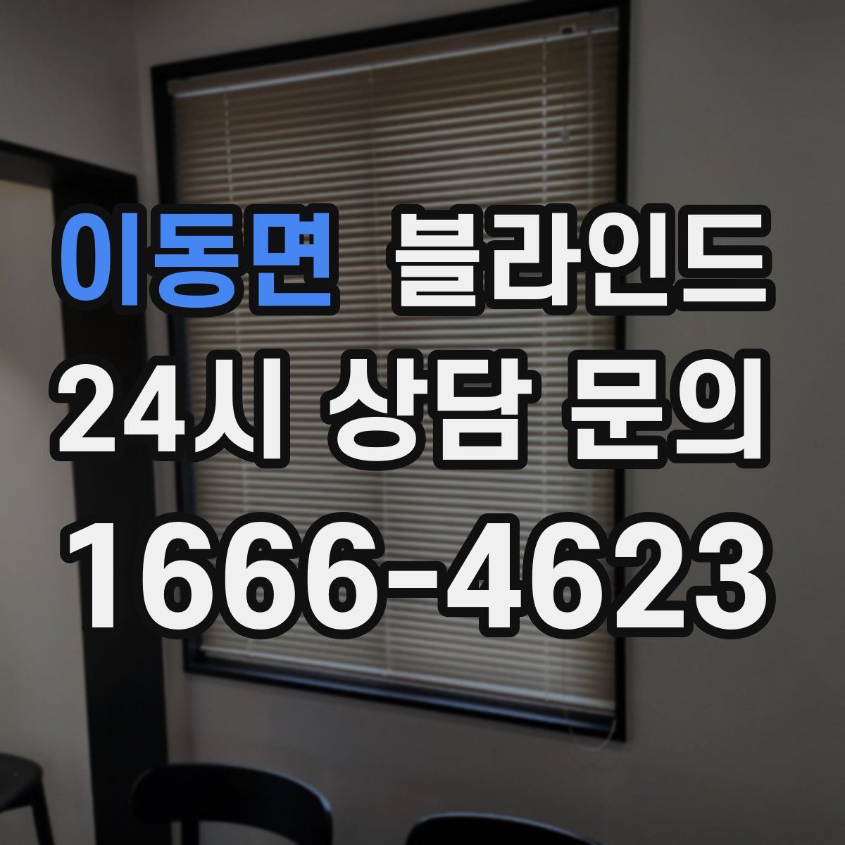 이동면 블라인드