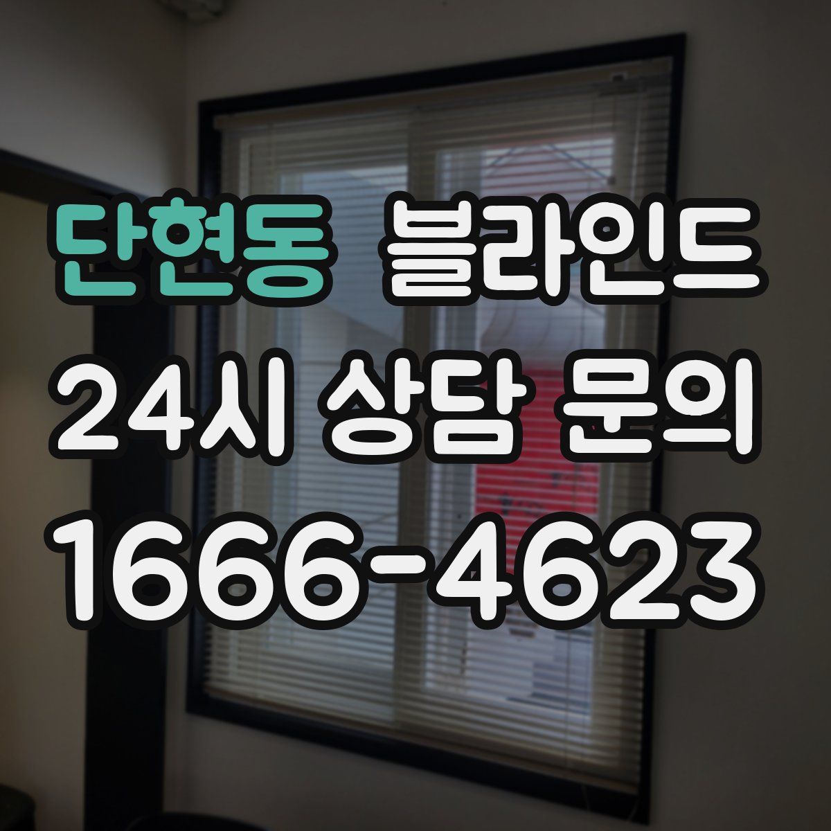 단현동 블라인드
