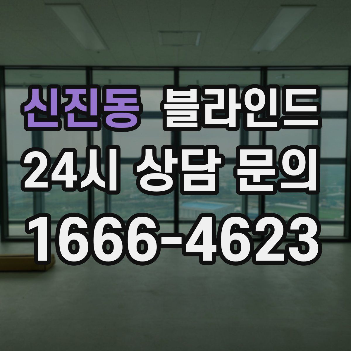 신진동 블라인드