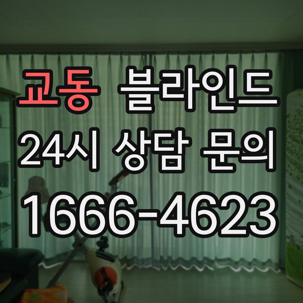 교동 블라인드