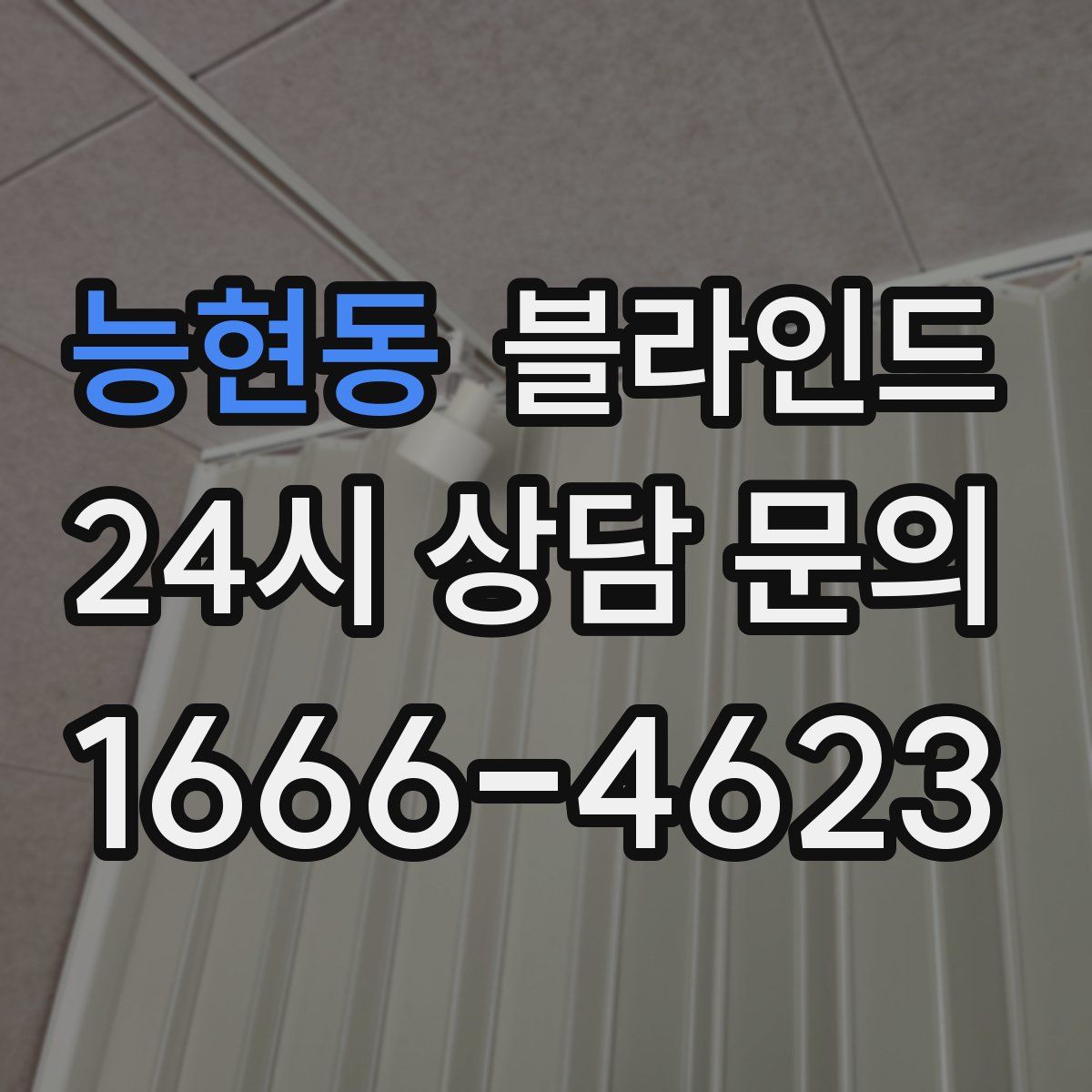 능현동 블라인드