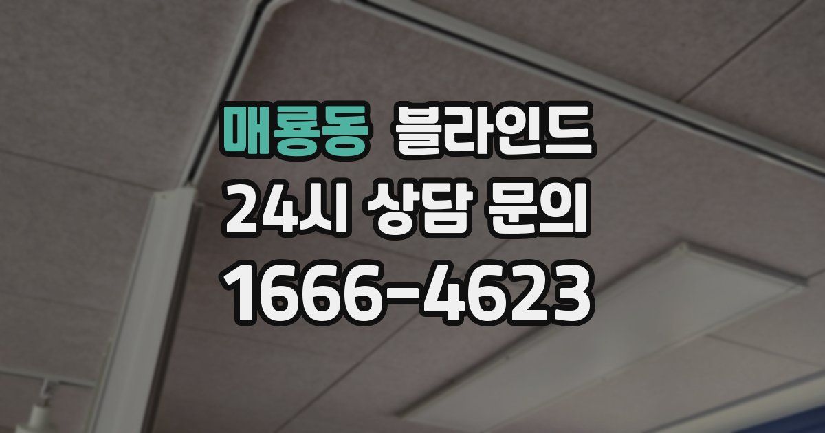 매룡동 블라인드