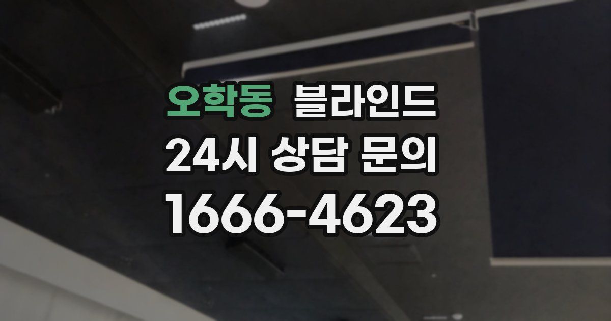 오학동 블라인드