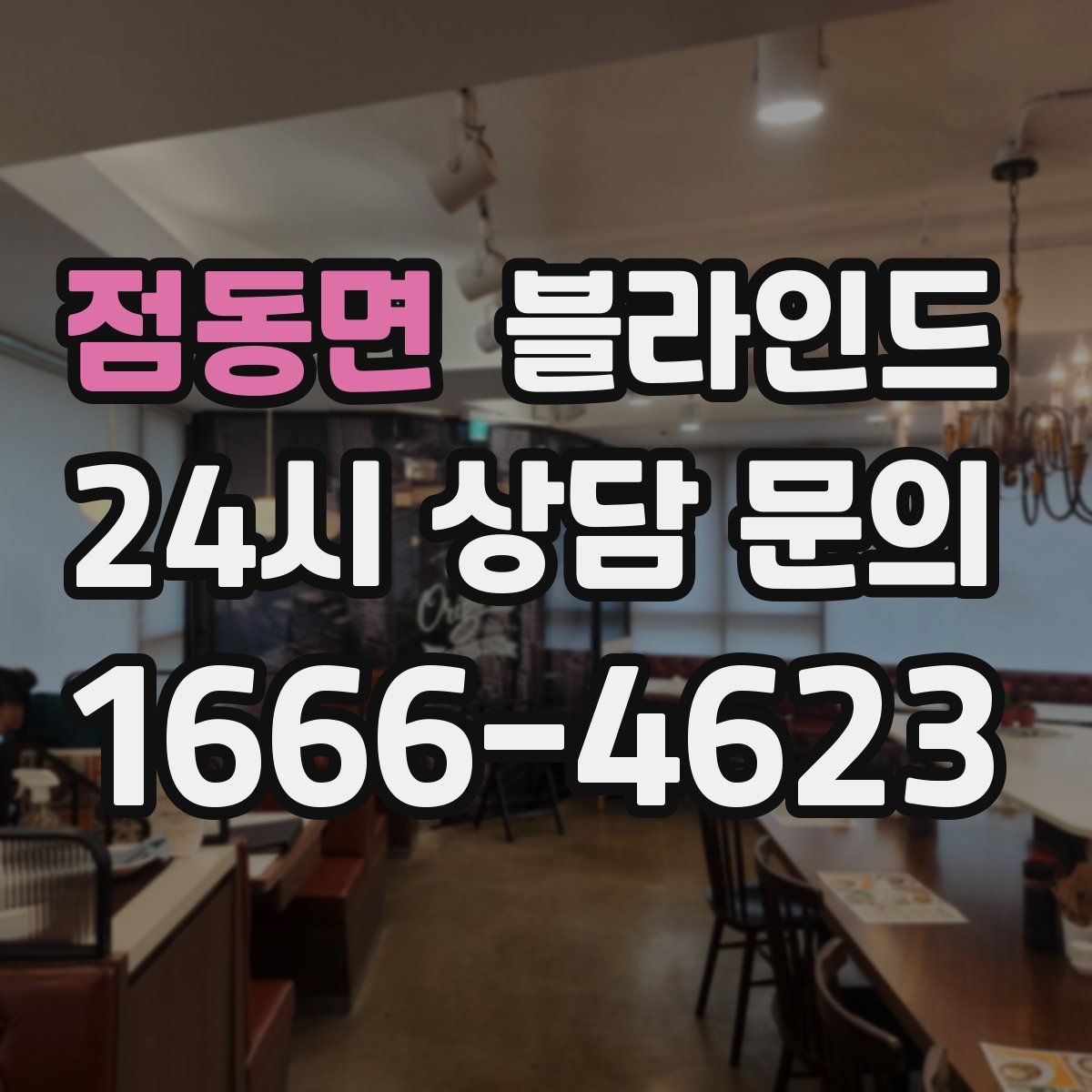 점동면 블라인드