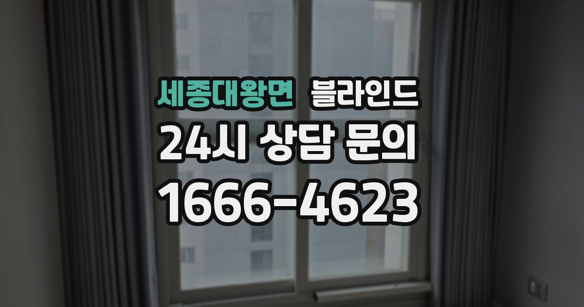 세종대왕면 블라인드