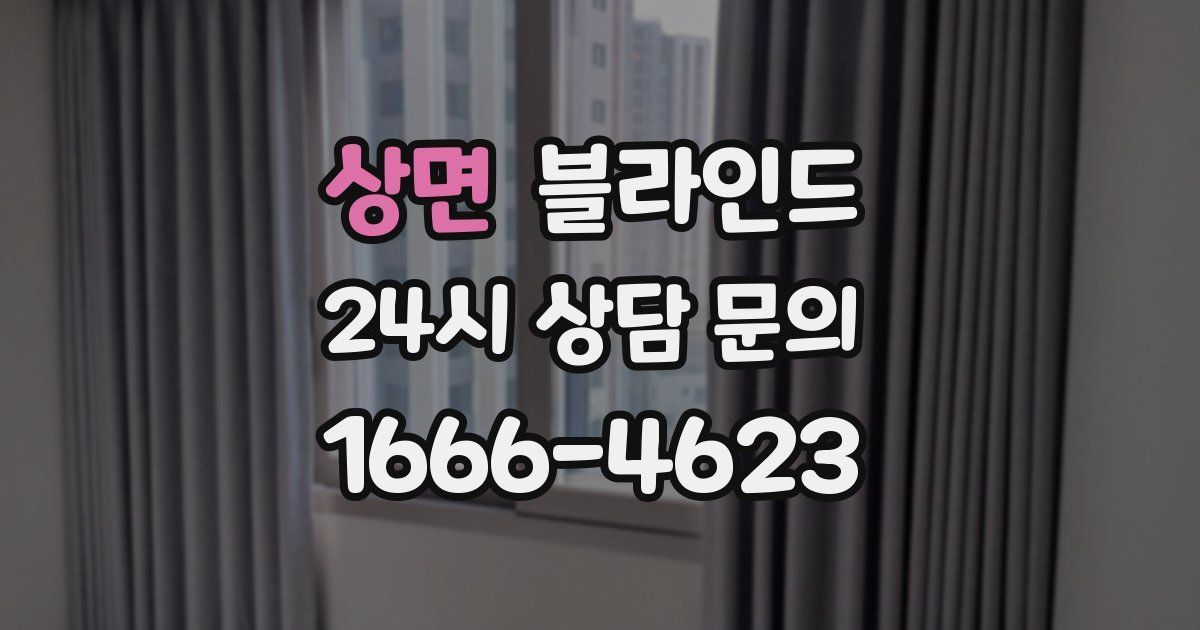 상면 블라인드