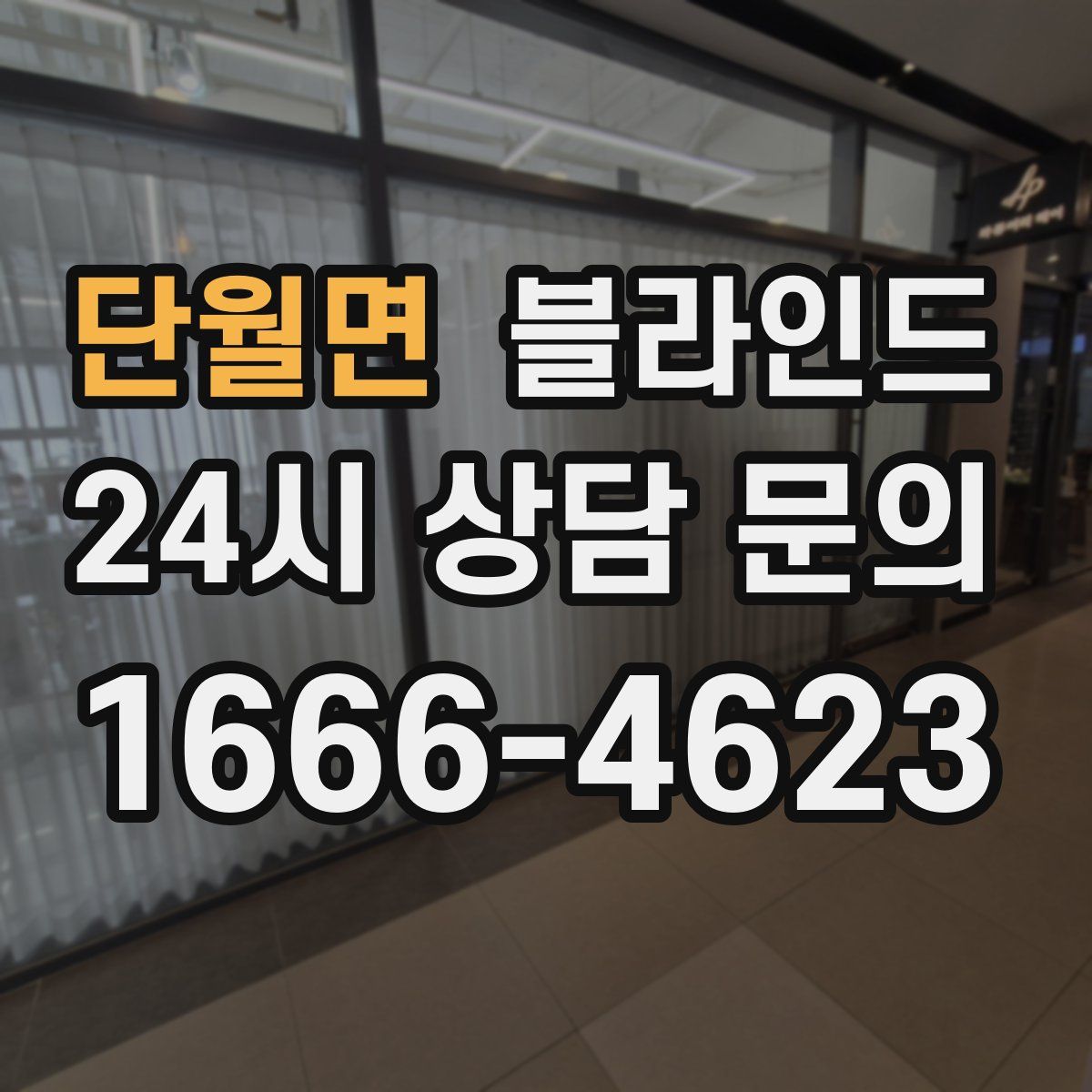 단월면 블라인드